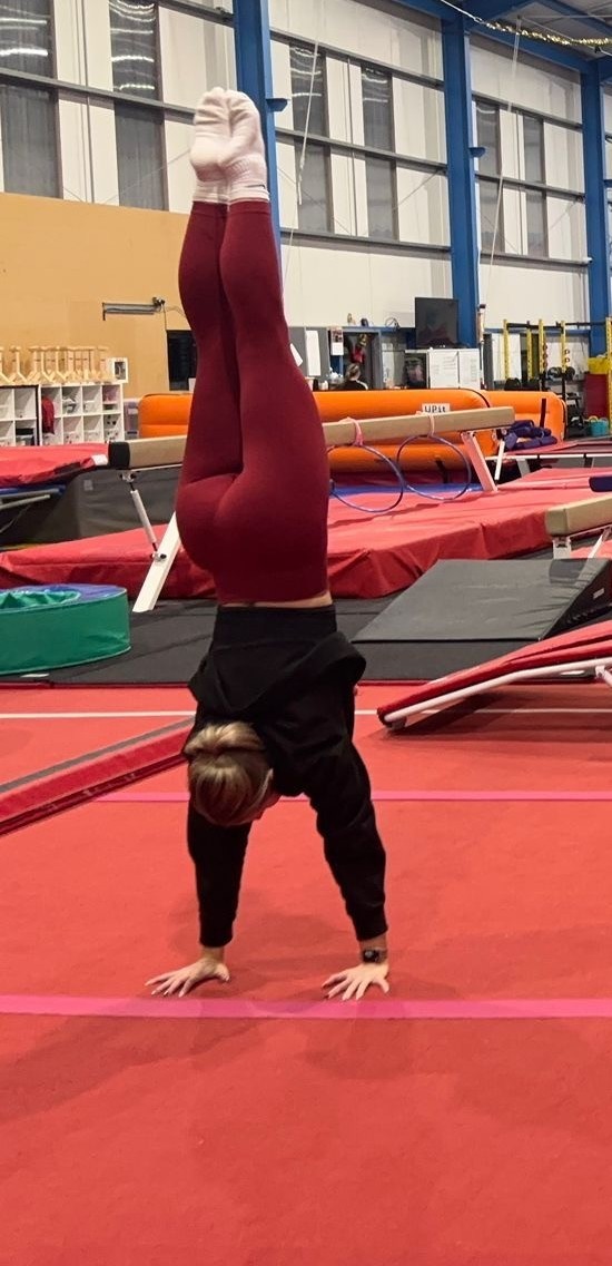Adult Gymnastics 2
